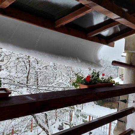 Holiday House Văliug Εξωτερικό φωτογραφία