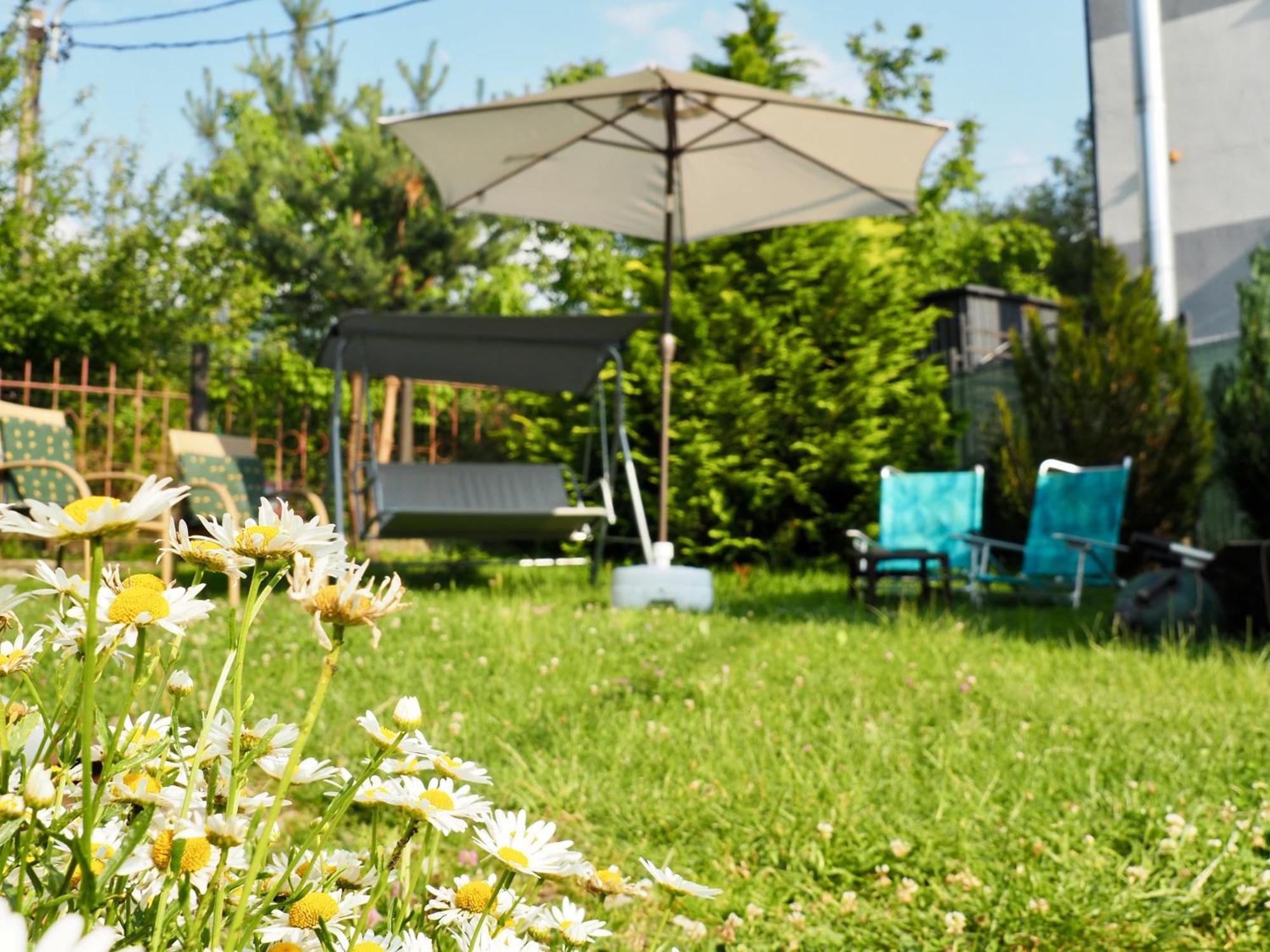 Holiday House Văliug Εξωτερικό φωτογραφία