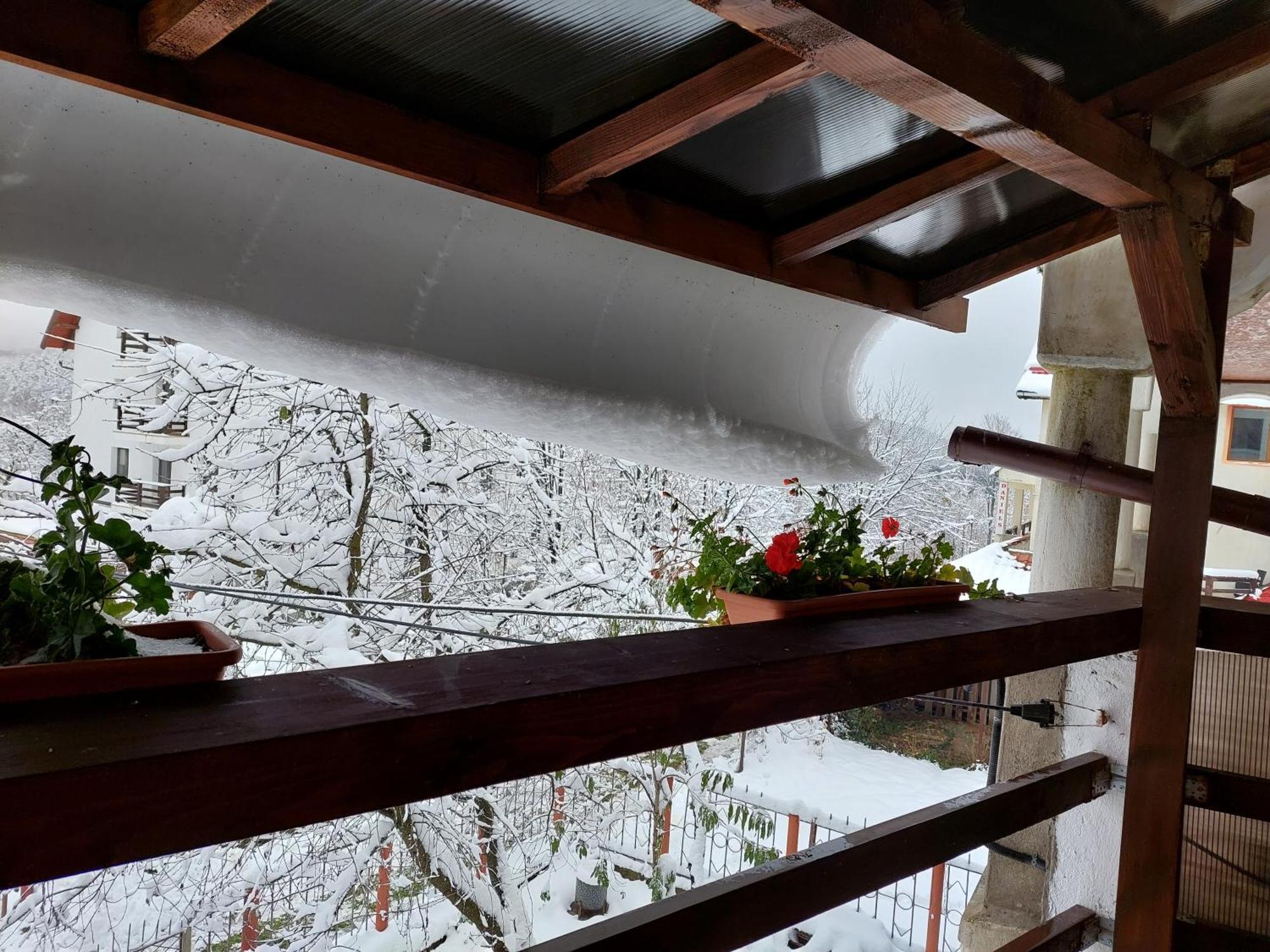 Holiday House Văliug Εξωτερικό φωτογραφία